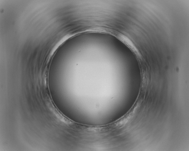 X0000088460908200706121501