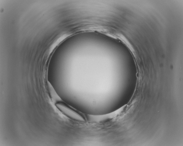 X0000088460909200706121501