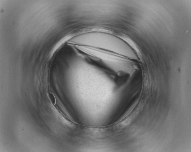 X0000088460910200706121501