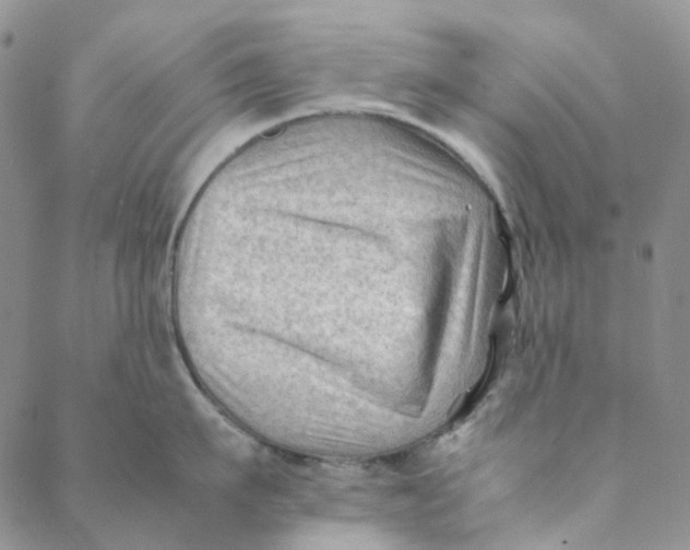 X0000088460911200706121501