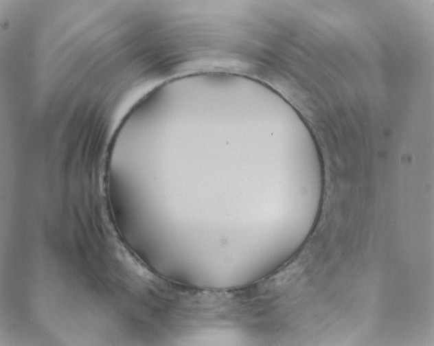 X0000088460912200706121501