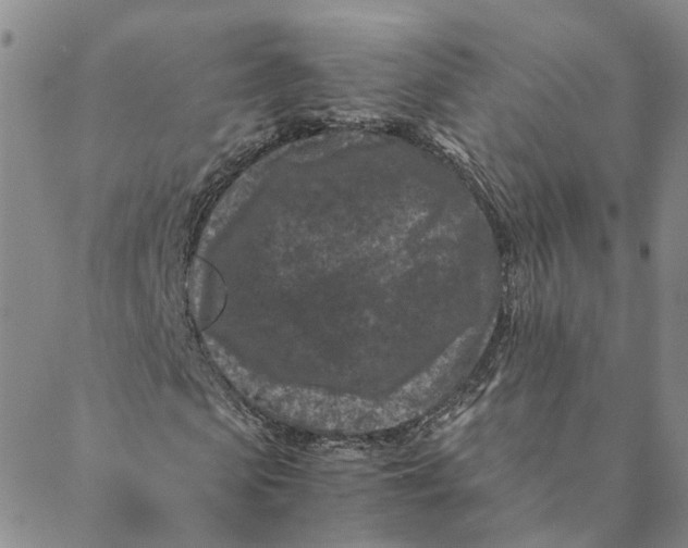 X0000088460913200706121500