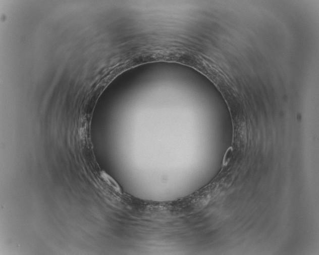 X0000088460914200706121500