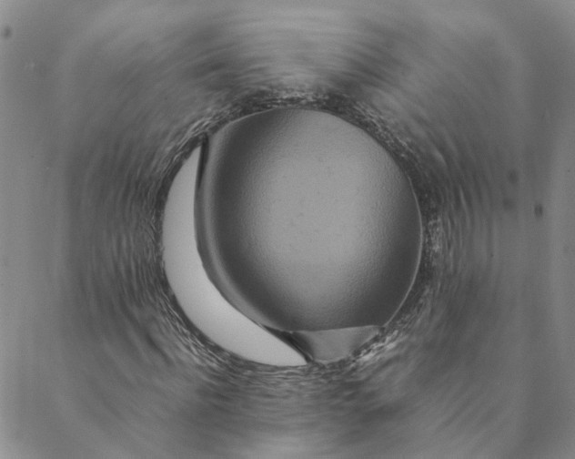 X0000088460916200706121500