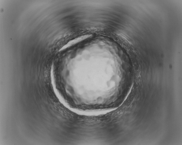 X0000088460917200706121500