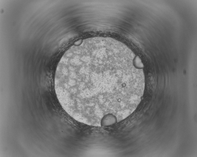 X0000088460918200706121500