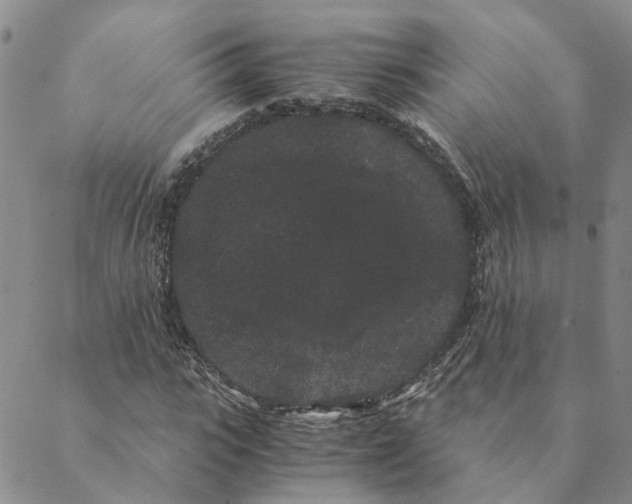 X0000088460919200706121500