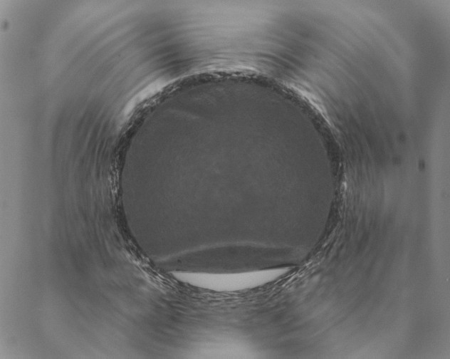 X0000088460920200706121500