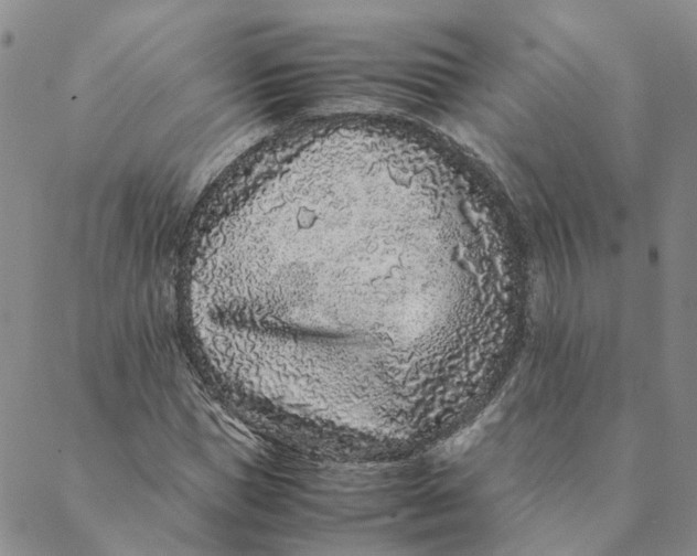 X0000088460921200706121500