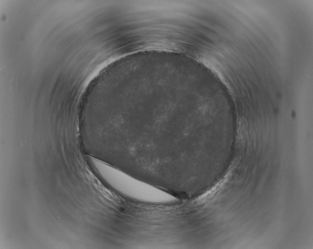 X0000088460923200706121500