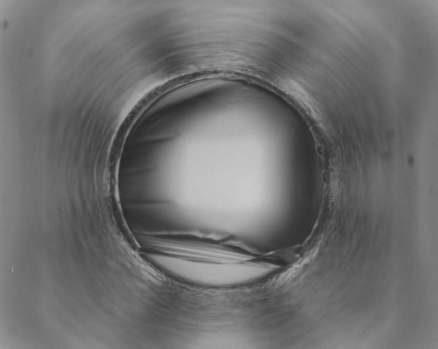 X0000088460924200706121500