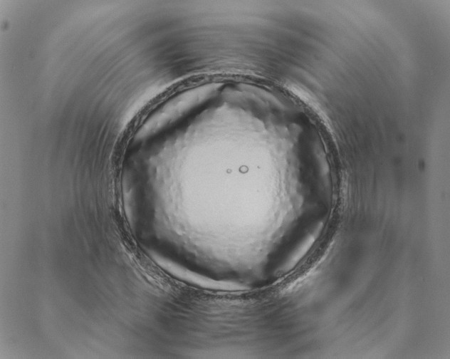 X0000088460925200706121500