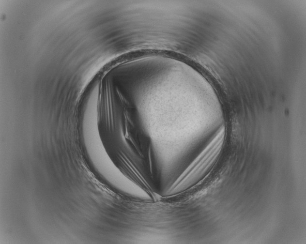 X0000088460926200706121500