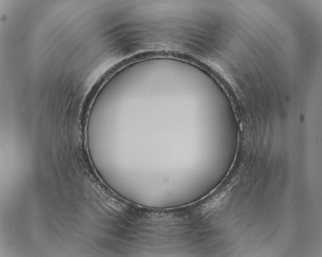 X0000088460927200706121500