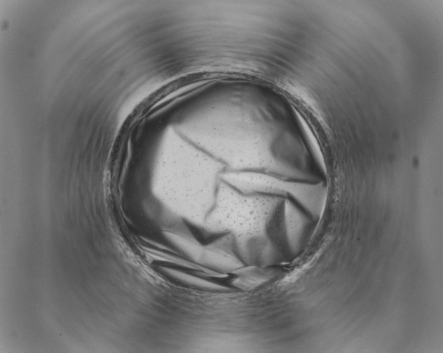 X0000088460928200706121500