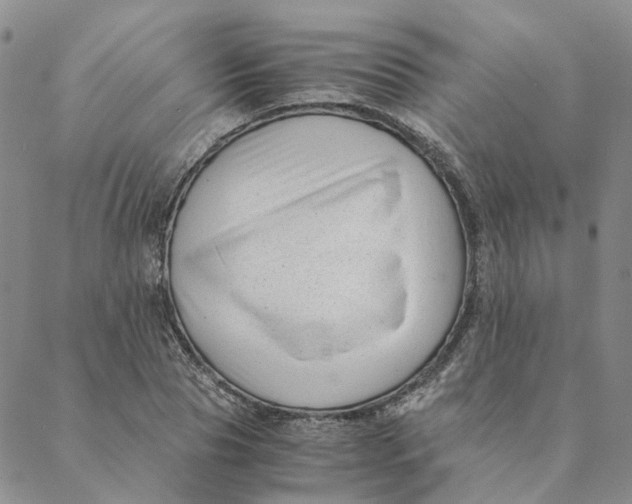 X0000088460929200706121500