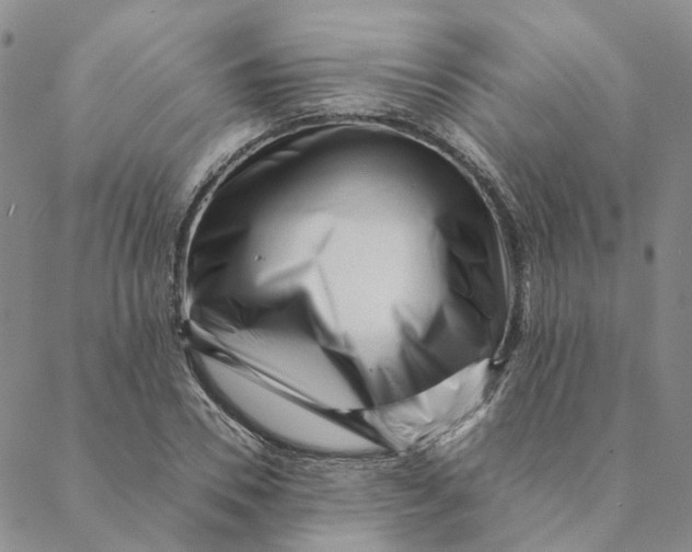 X0000088460930200706121500