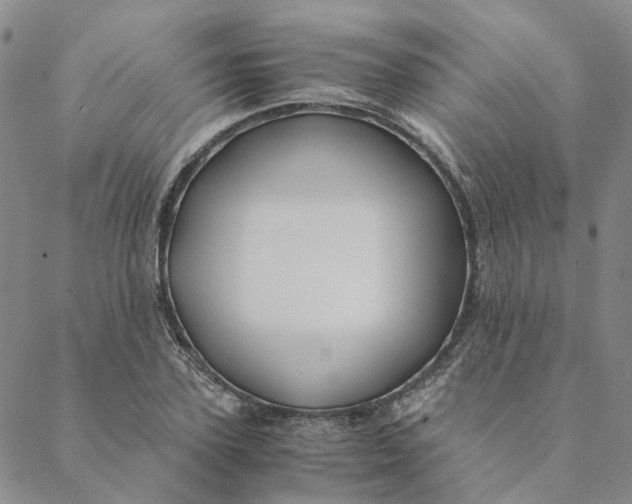 X0000088460931200706121501