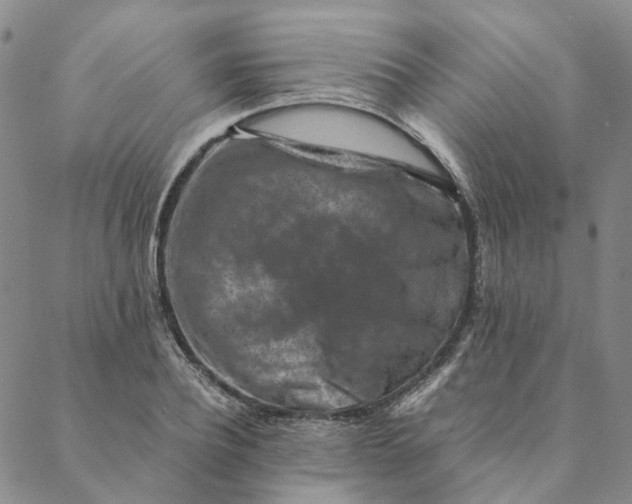 X0000088460932200706121501