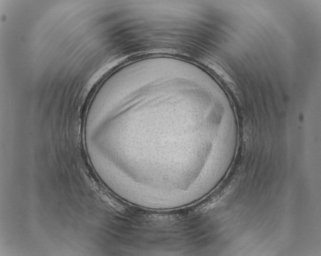 X0000088460933200706121501