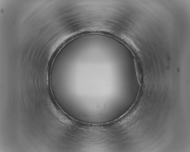 X0000088460934200706121501