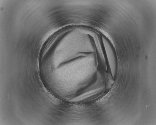 X0000088460935200706121501