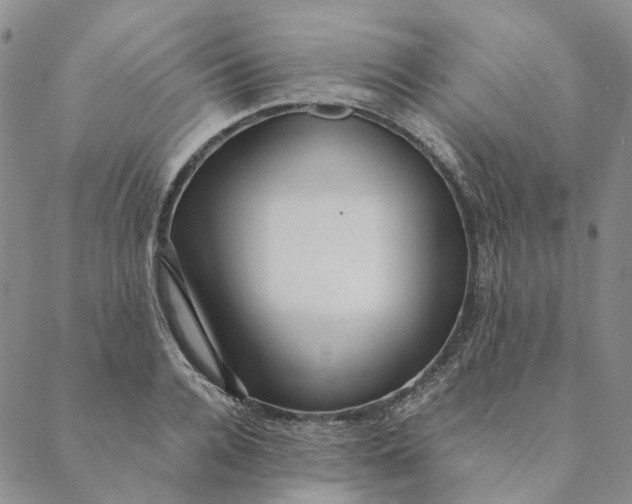 X0000088460936200706121501