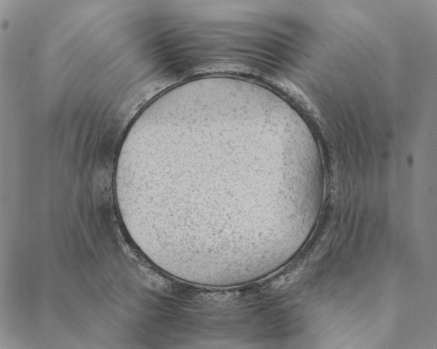 X0000088460937200706121501