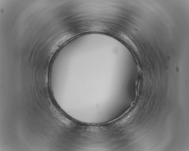 X0000088460938200706121501