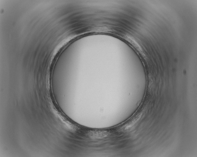 X0000088460939200706121501