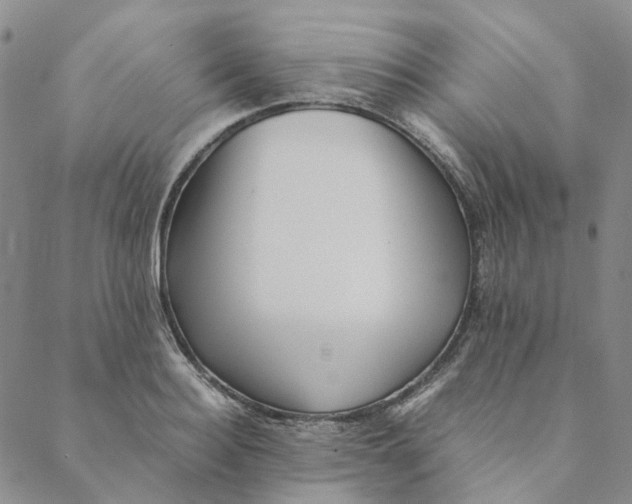 X0000088460940200706121501