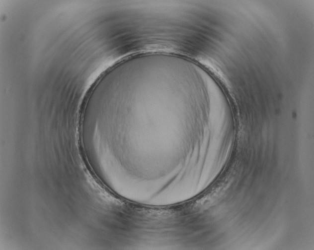 X0000088460941200706121501