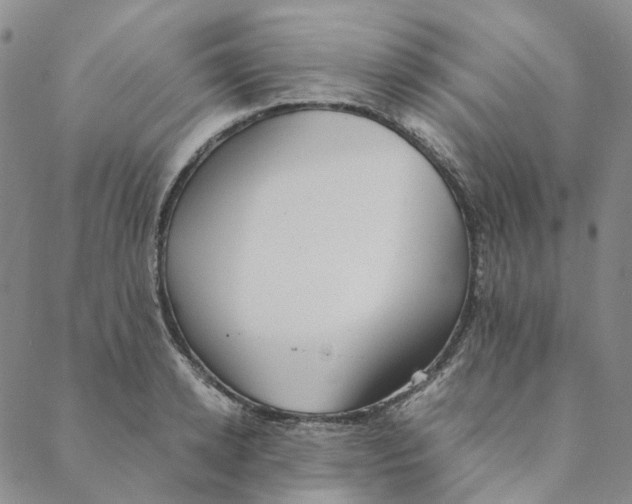 X0000088460942200706121501