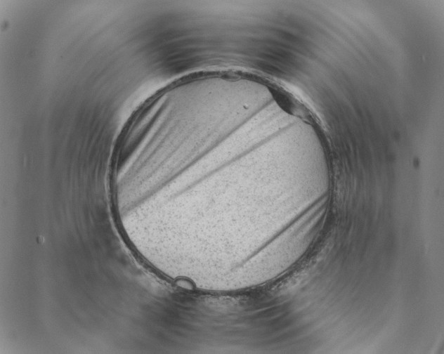 X0000088460943200706121501