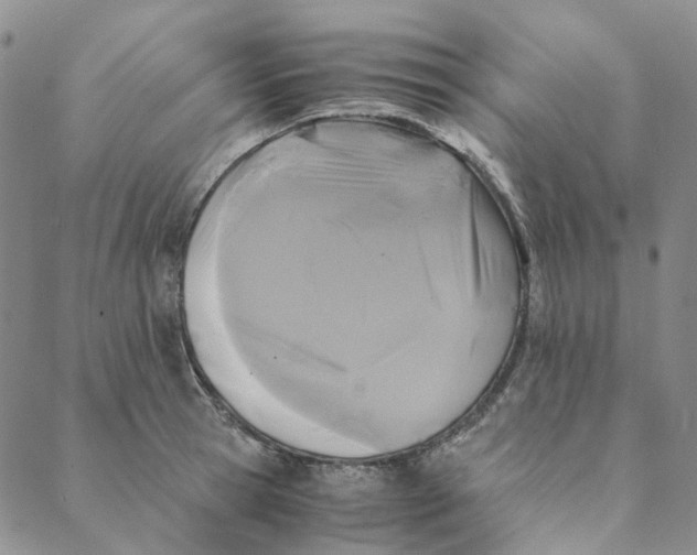 X0000088460945200706121501