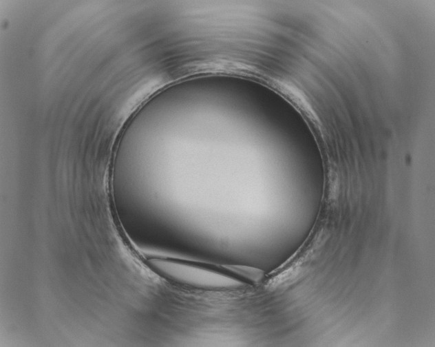 X0000088460946200706121501