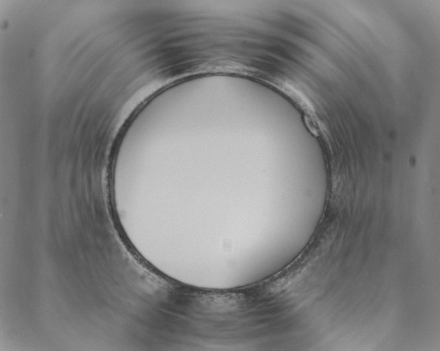 X0000088460947200706121501