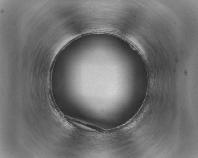 X0000088460948200706121501