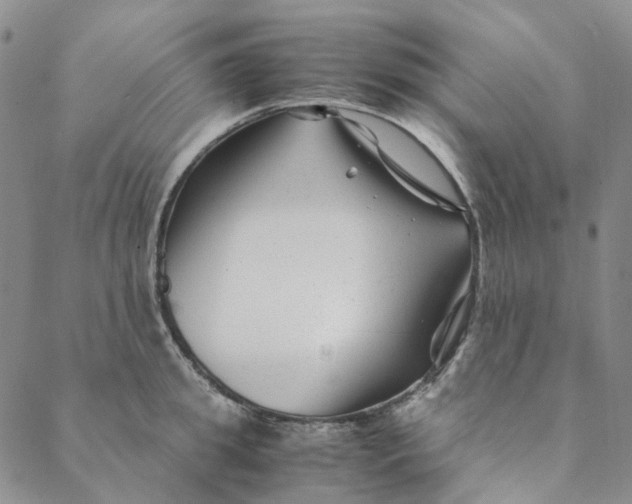 X0000088460949200706121501