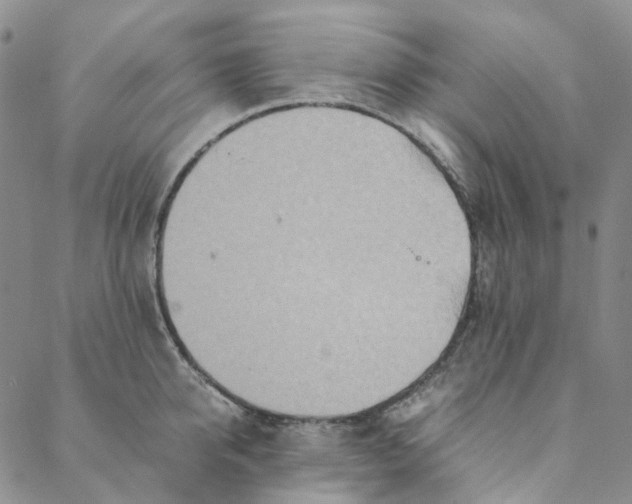 X0000088460950200706121501