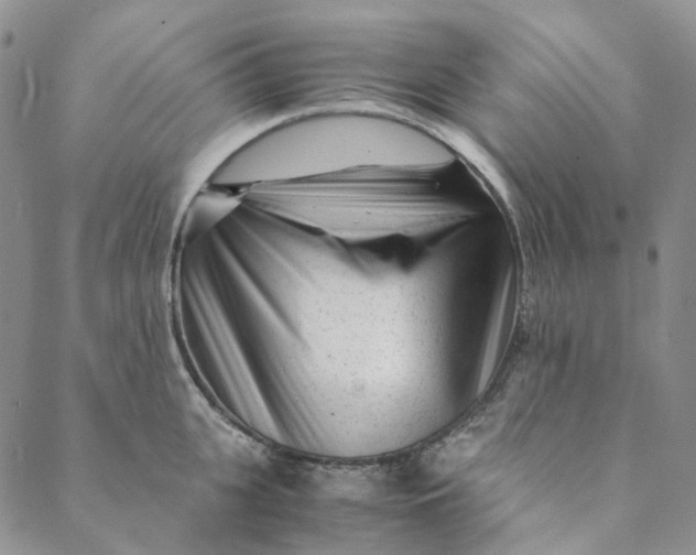 X0000088460951200706121501