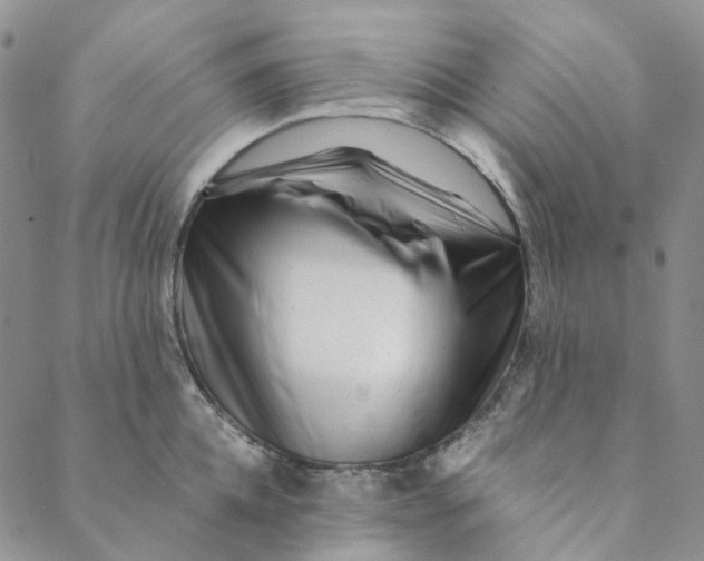 X0000088460952200706121501