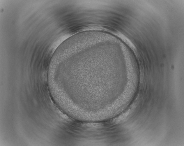 X0000088460953200706121501