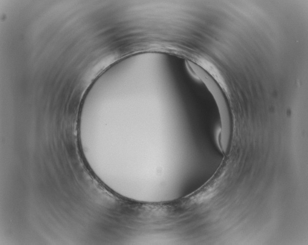 X0000088460954200706121501