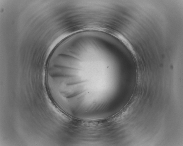 X0000088460955200706121501