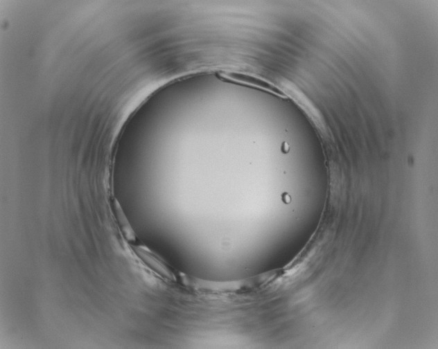 X0000088460956200706121501