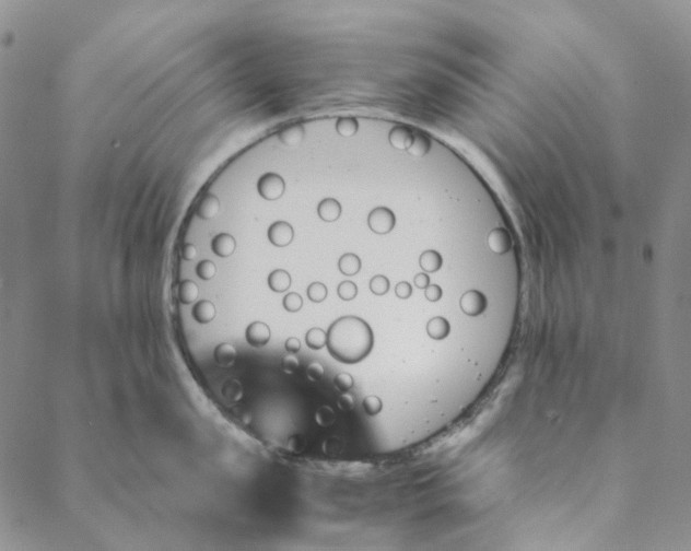 X0000088460957200706121501