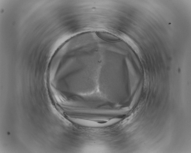 X0000088460958200706121501