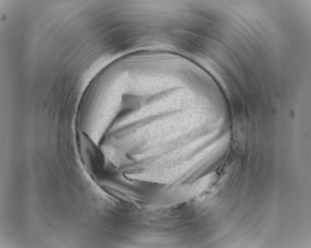 X0000088460959200706121501