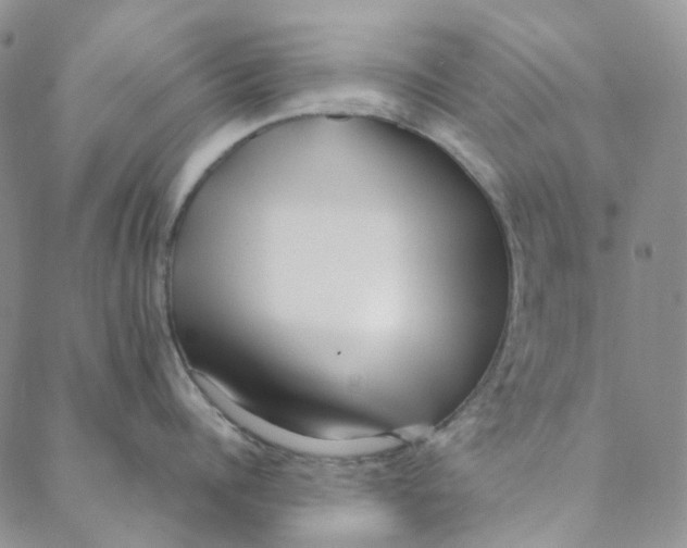 X0000088460960200706121501